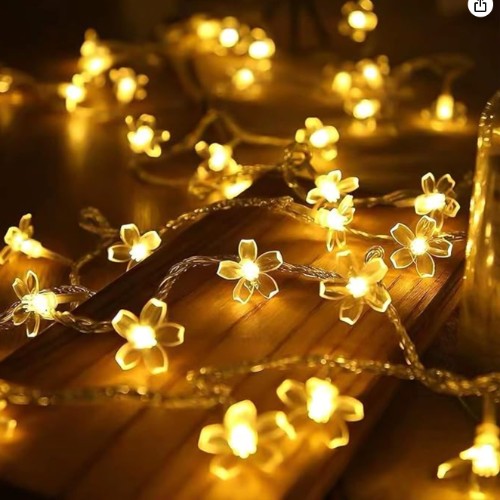 Indoor fairy lights 16